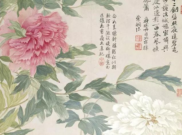 牡丹鉴赏实力画家笔下的牡丹风华，实力画家笔下的牡丹风华