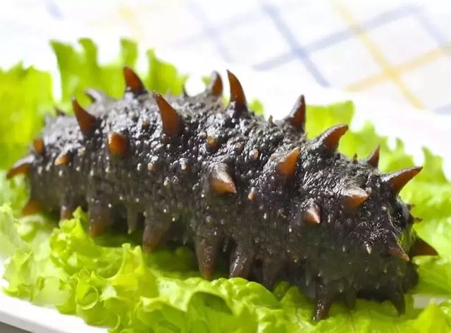 海参的最好的做法，海参的18道美味做法