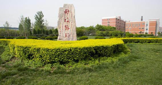 河南科技大学和洛阳理工大学，河南洛阳有一所小211高校