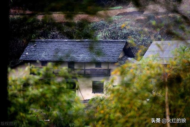 为什么老话说一人不能进庙呢，农村一人不进庙