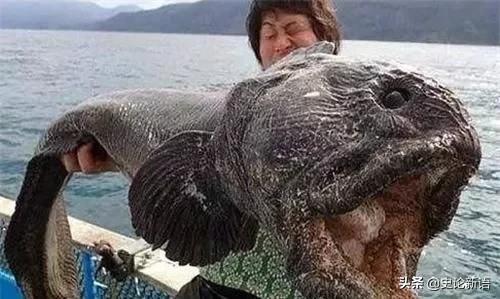 核辐射变异生物，经过核辐射的变异动物盘点