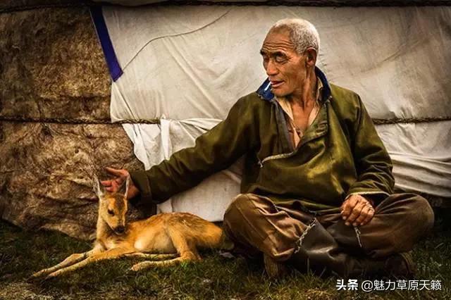 向草原奔跑揭秘蒙古族游牧文化，现已逐渐消失的走牧制度“敖特尔”