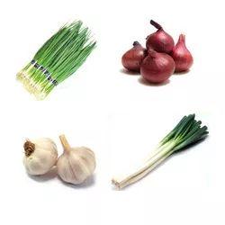 猫咪能吃海苔吗，养猫时什么食物不能吃（猫咪不能吃的10种常见食物大公开）