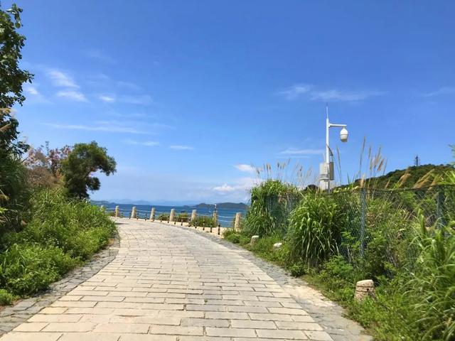 杨梅坑鹿嘴山庄，鹿嘴山庄游玩攻略