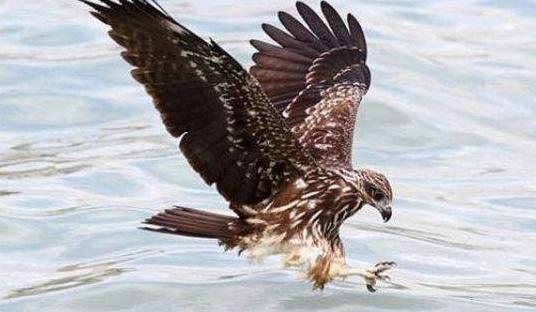 大寒是什么时候，一般什么时候开始的大寒（过了大寒就是年）