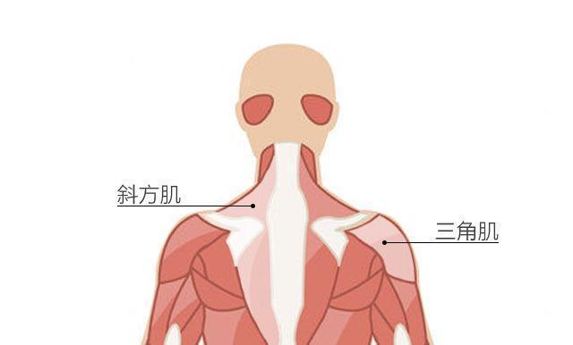 4分钟练出天鹅颈，三步让你拥有天鹅颈