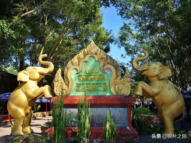 这个夏天总要来一趟西双版纳，追寻自然的呼吸