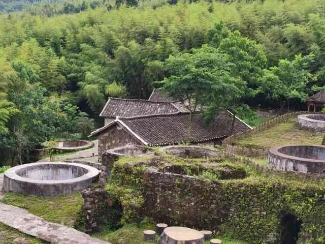 遇见最美的小镇，去针灸小镇赴一场玉兰之约~