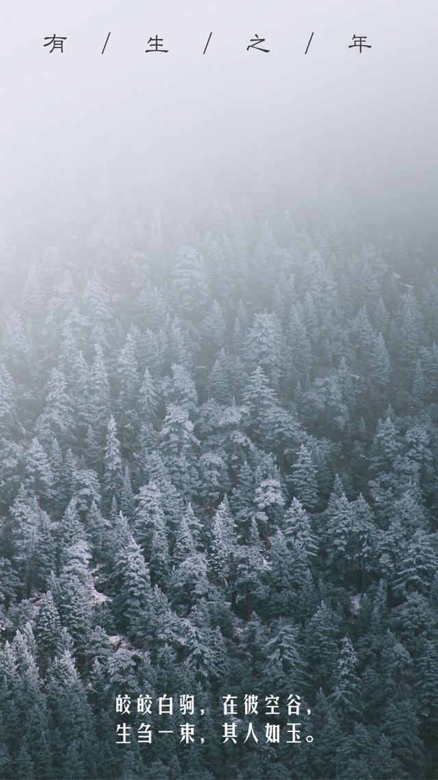 华为手机壁纸超清全面屏海边,华为手机用上美爆了 华为手机壁纸超清全面屏海边,华为手机用上美爆了