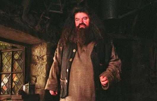 邓布利多扮演者，哈利波特扮演者长大后都怎么样啦