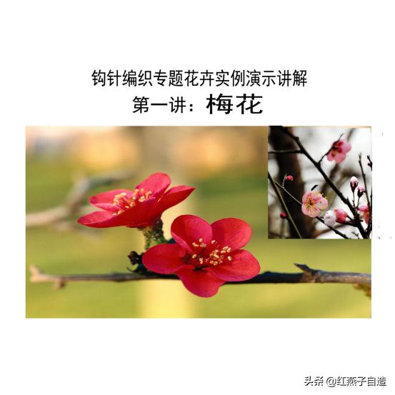 钩针编织小花朵，钩针编织花朵简单易学（新手半个小时就可以钩出来送给自己）