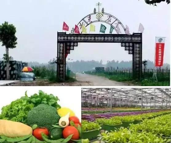 菏泽附近旅游景点，菏泽哪些好玩的旅游景点（菏泽14处省级以上湿地公园）