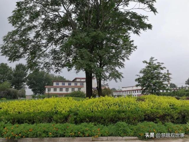 侯氏三兄弟事迹，侯氏三杰的坎坷分配路