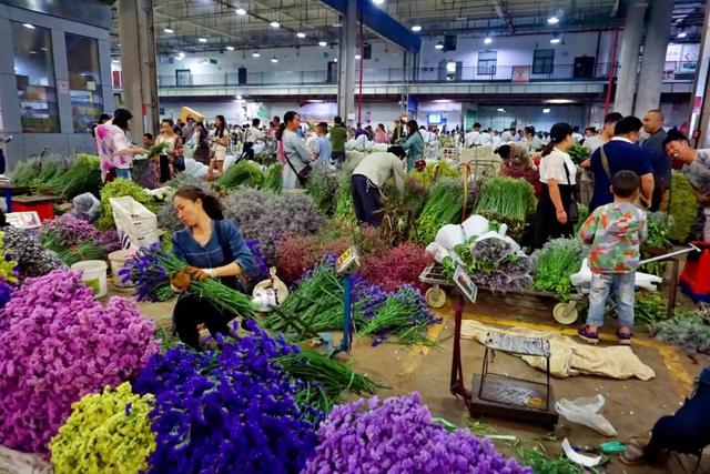 便宜又实惠的鲜花市场，打卡全国最大的鲜花批发市场