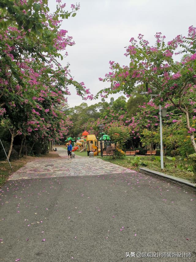 深圳市南山区中山公园，广东省深圳市中山公园