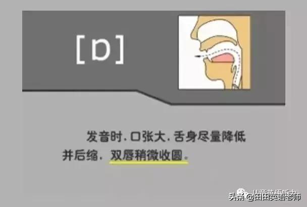 英语音标怎么学，初学英语者必看如何学习国际音标（资深老教师说：音标就该这样学）
