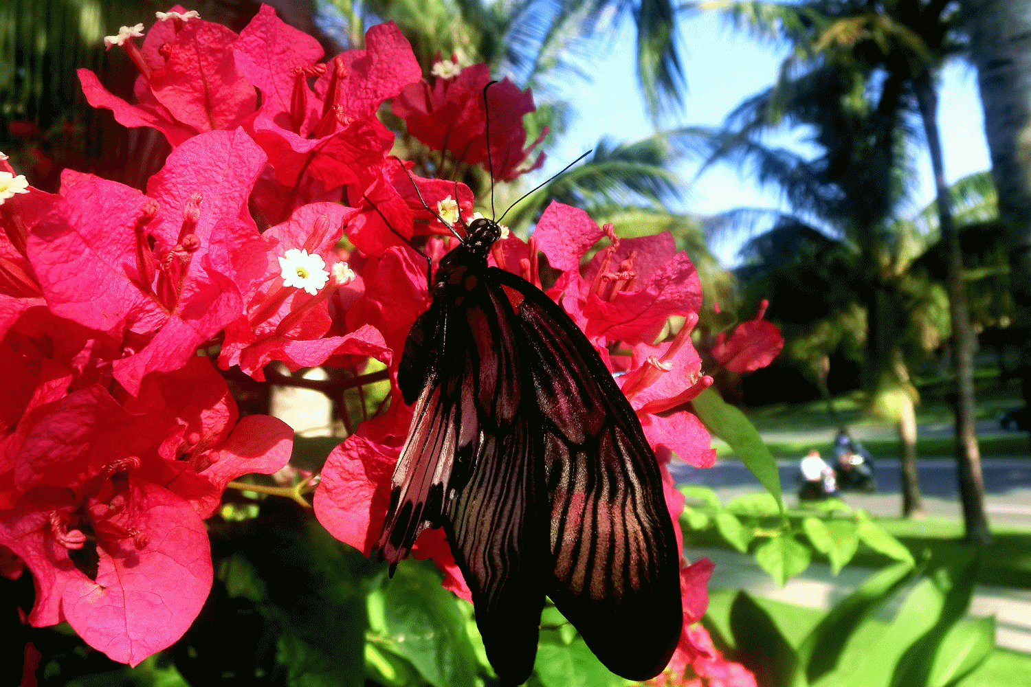 怎么制作一个闪图，如何制作QQ闪图