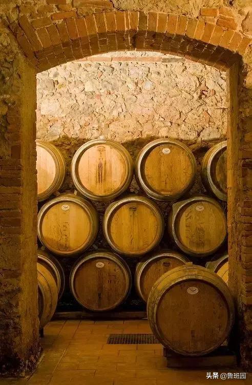 橡木相关知识，记得收藏这篇文章备用