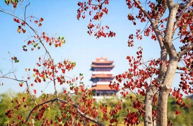 郑州园博园简介，郑州园博园哪几个园好玩