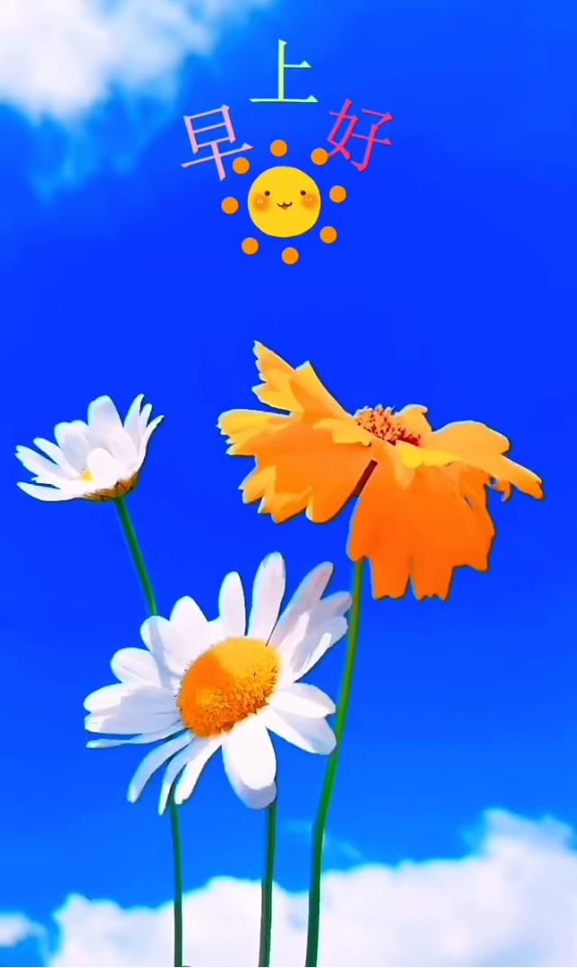 清新唯美的壁纸，小清新唯美手机壁纸