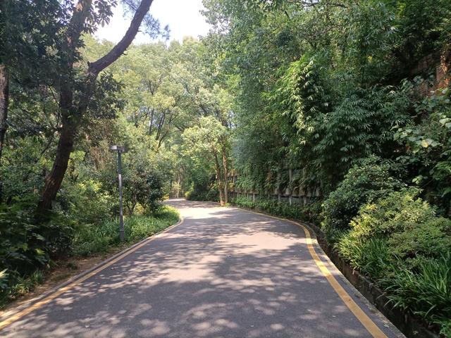 长沙市内十大公园，长沙本地人告诉你这10个地方不能少