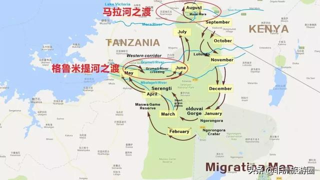 塞伦盖蒂国家公园，野性非洲塞伦盖蒂国家公园全攻略（塞伦盖蒂国家公园位置）