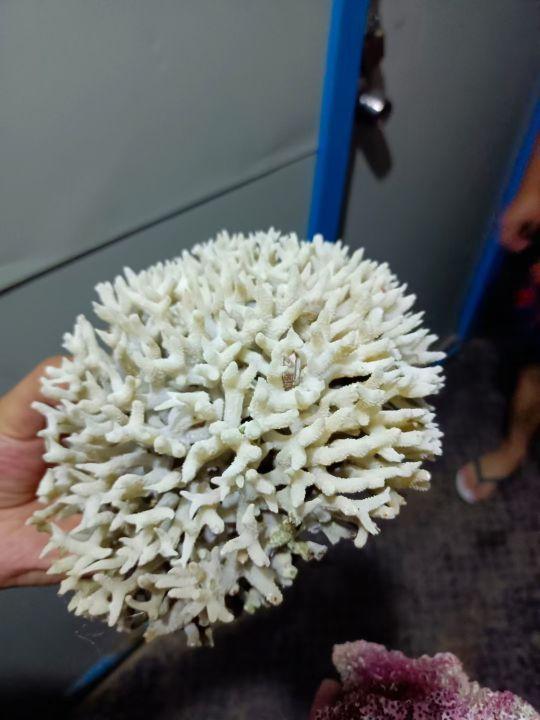 为什么很多人去印尼打工，记录印尼打工生活点滴