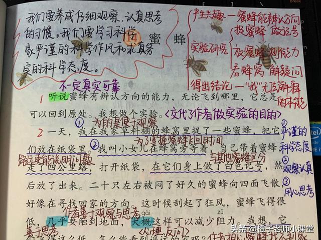 关于蜜蜂的知识三年级，三年级课文蜜蜂（三年级关于蜜蜂的小知识）