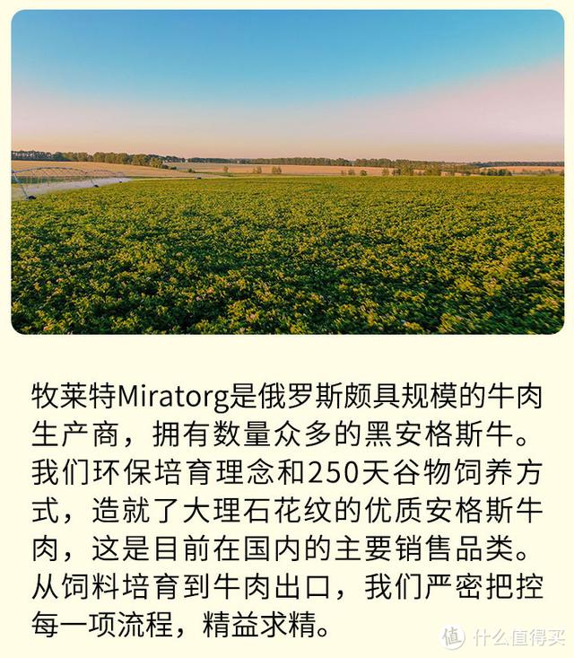 常见的牛排种类和搭配，你需要知道的都在这里