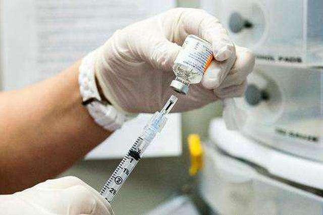 养泰迪的技巧，泰迪饲养的六个方面