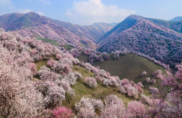 四月份去哪里旅游好，4月旅游必去十大景点