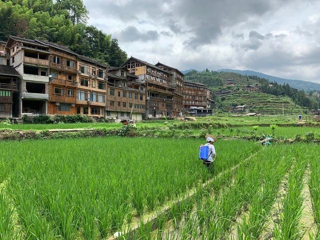黔东南小七孔旅游攻略，不只是一座古桥<二游荔波>
