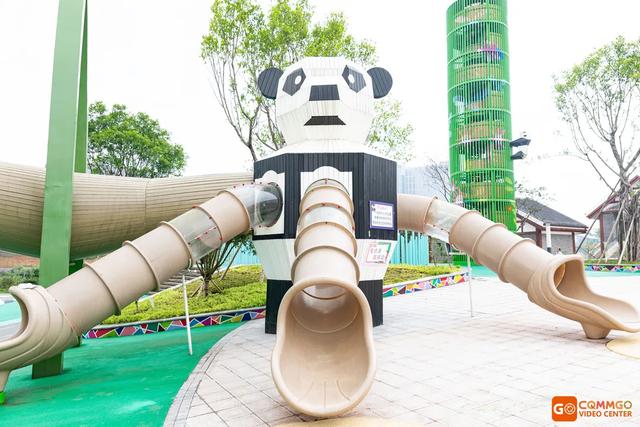 重庆熊猫最多的公园，你知道重庆动物园有多少只熊猫