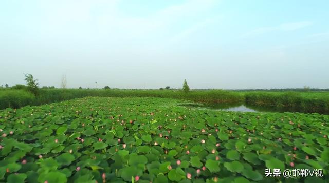 朱山石刻文化园，永年朱山石刻园（养怡福地：图说永年美景）