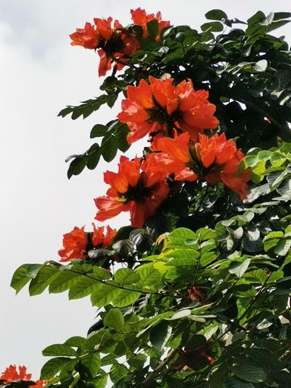 三亚天涯海角，三亚夜景（第三期：三亚天涯海角景区）