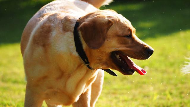 奥林巴斯em1，奥林巴斯em1mark3测评