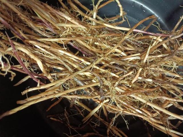 为什么很多人去印尼打工，记录印尼打工生活点滴