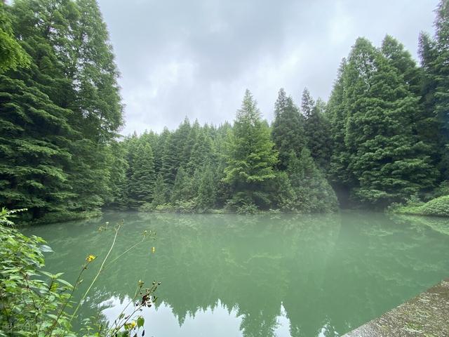 重庆周边凉快的避暑打卡地两三天，重庆周边这⑧个避暑胜地只有25℃