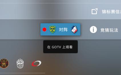 csgo观赛指南，给新手们的一篇IEM卡托维兹观赛指南