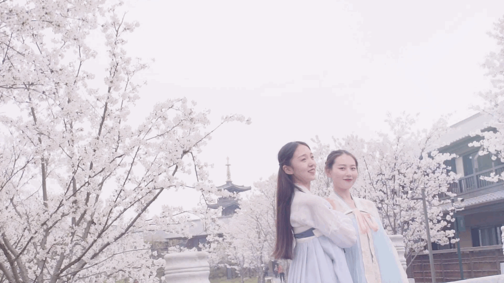 拈花湾攻略必去景点，1600亩拈花湾樱花海