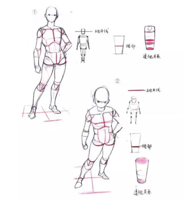 新手如何学会画漫画，绘画经验如何有效的学习画漫画