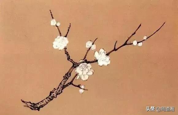 简单国画梅花，怎么样用圈点结合画法画梅花