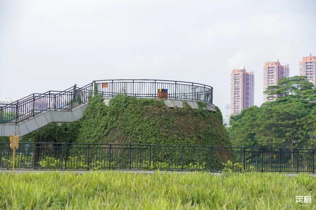 观澜河湿地公园，深圳十个免费特色花海