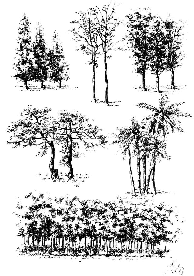 40种画树简易画法，树的手绘很难画