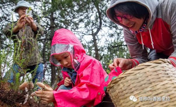 广东端午节旅游景点排行，香格里拉端午节景区景点活动合集出炉