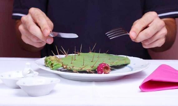 骆驼口腔构造图，仙人掌那么多刺为什么骆驼能吃