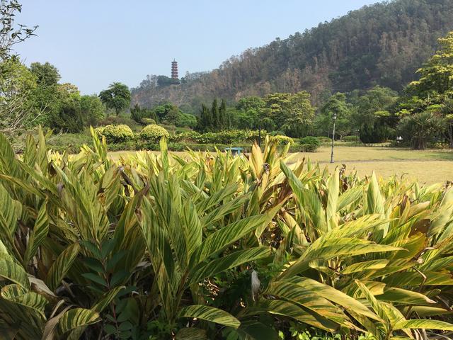 广州哪里可以看海，广州旅游看海的地方（广州这些“无敌海景”碧道藏不住了）