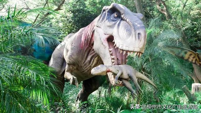 柳城县旅游攻略，攻略柳人游柳