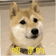 科学表明接吻可以减肥，须知接吻可以减肥