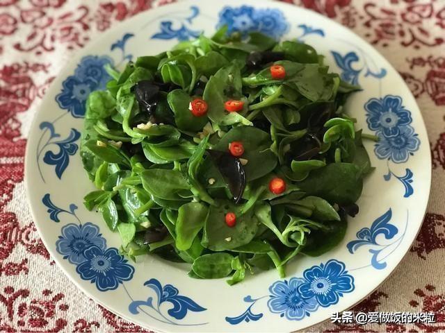 凉拌田七菜的做法，饭店的名菜凉拌田七为什么好吃（凉拌田七菜正宗做法）